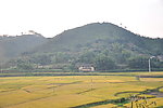 家乡稻田