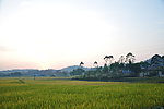 傍晚田野