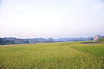 秋天景象