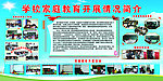 学校展板设计