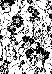 花纹
