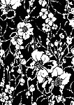 花纹