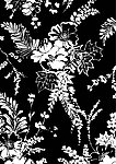 花纹