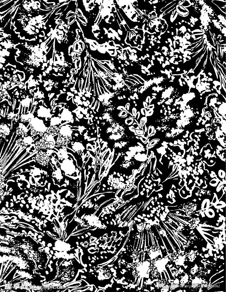 花纹