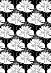 花纹