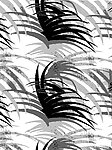 花纹