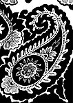 花纹