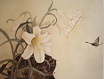 蝶恋花