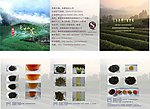 莲花山茶叶 宣传折页