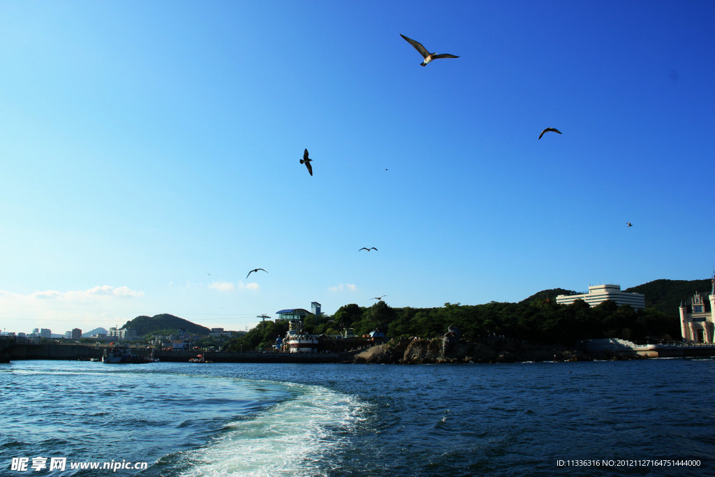 大连海景