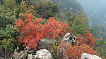 龙潭峡红叶