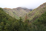 高山景观