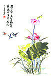 荷花小鸟