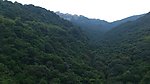 青山