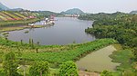 湿地公园