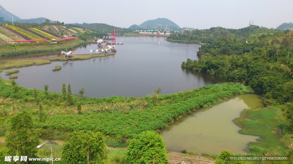 湿地公园