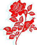 玫瑰花