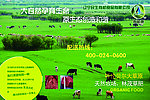 内蒙古大草原牛羊养殖基地展示展板