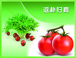蔬菜广告