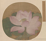 出水芙蓉图