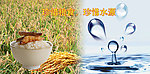 珍惜粮食珍惜水源海报