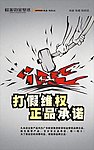 打假维权 正品承诺