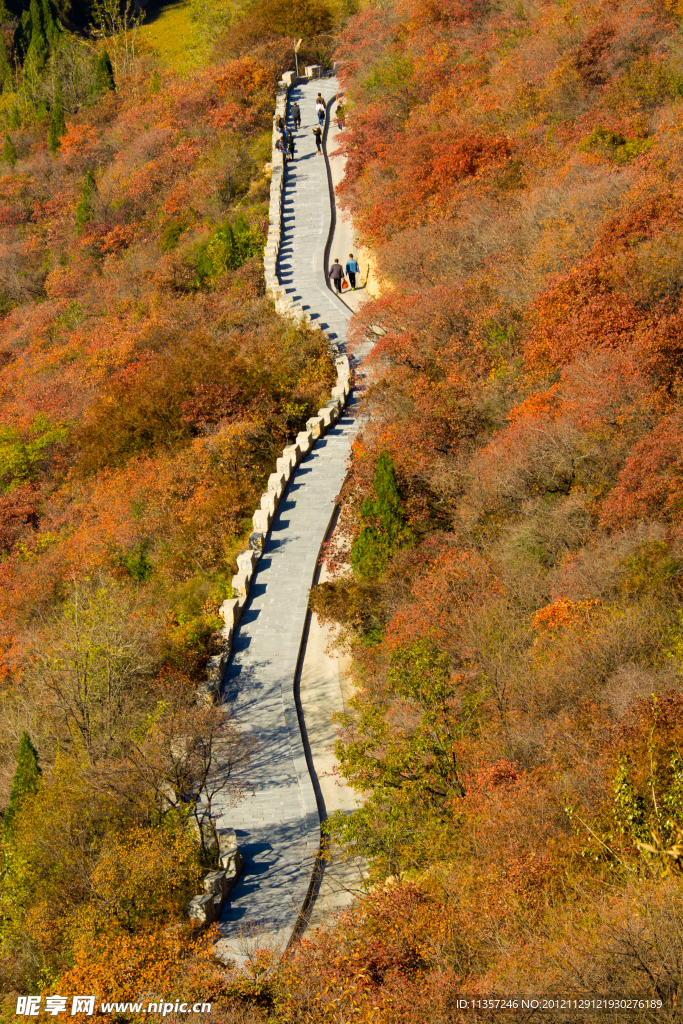 长寿之路