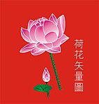 荷花