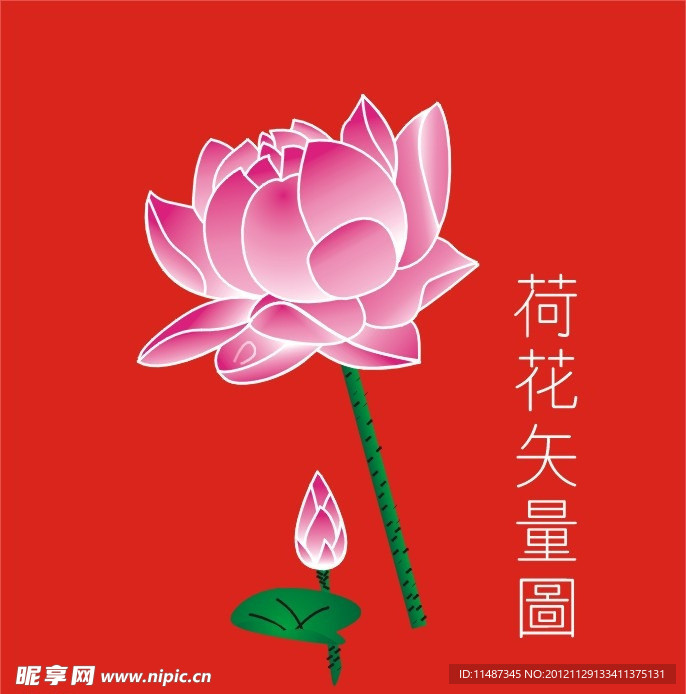 荷花