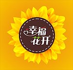 幸福花开 向日葵