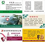 名片设计