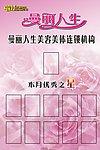 本月优秀之星