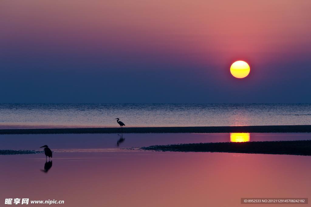 夕阳无限好