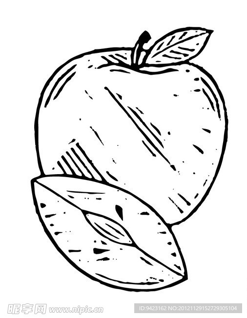线描苹果