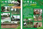 农庄宣传单