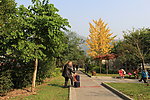 若水公园秋色