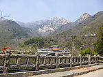 泰山