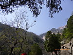 泰山