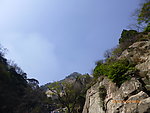 泰山