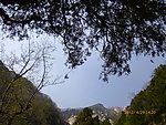 泰山