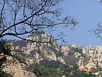 泰山