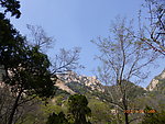 泰山