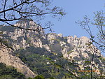 泰山
