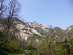 泰山