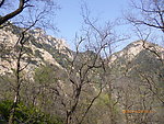 泰山