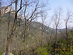 泰山