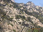 泰山