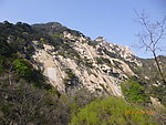 泰山