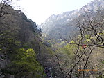 泰山