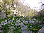 泰山